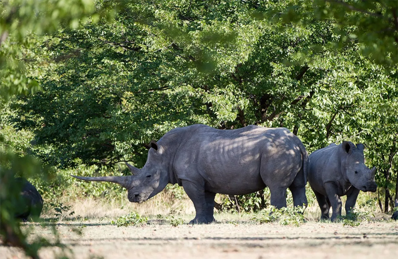 Namíbia Luxo by Wilderness